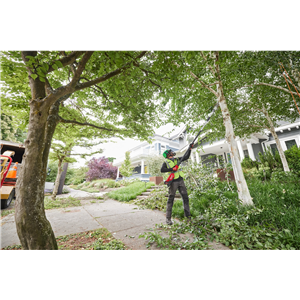 MM PODKRZESYWARKA FUEL M18 FTPS30-121